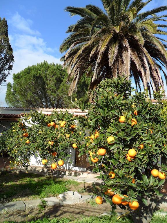 Il Giardino Di Emilio Bed & Breakfast Marrubiu Room photo